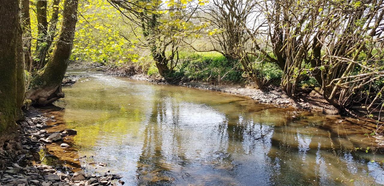 Kingsley Cottage - Beautiful Riverside Setting Beaworthy Bagian luar foto