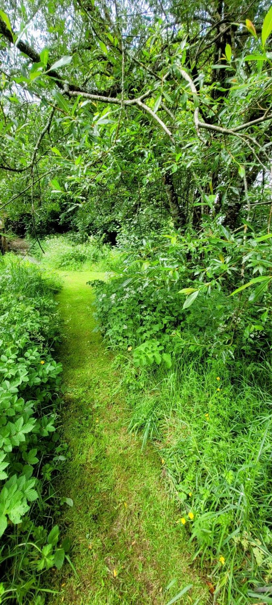 Kingsley Cottage - Beautiful Riverside Setting Beaworthy Bagian luar foto