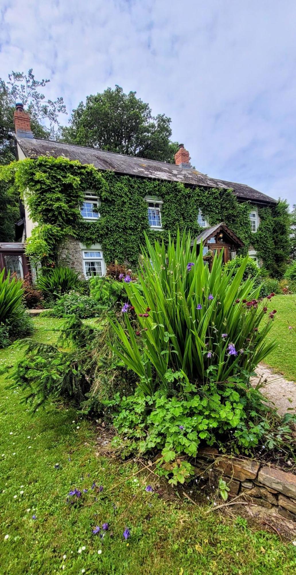 Kingsley Cottage - Beautiful Riverside Setting Beaworthy Bagian luar foto