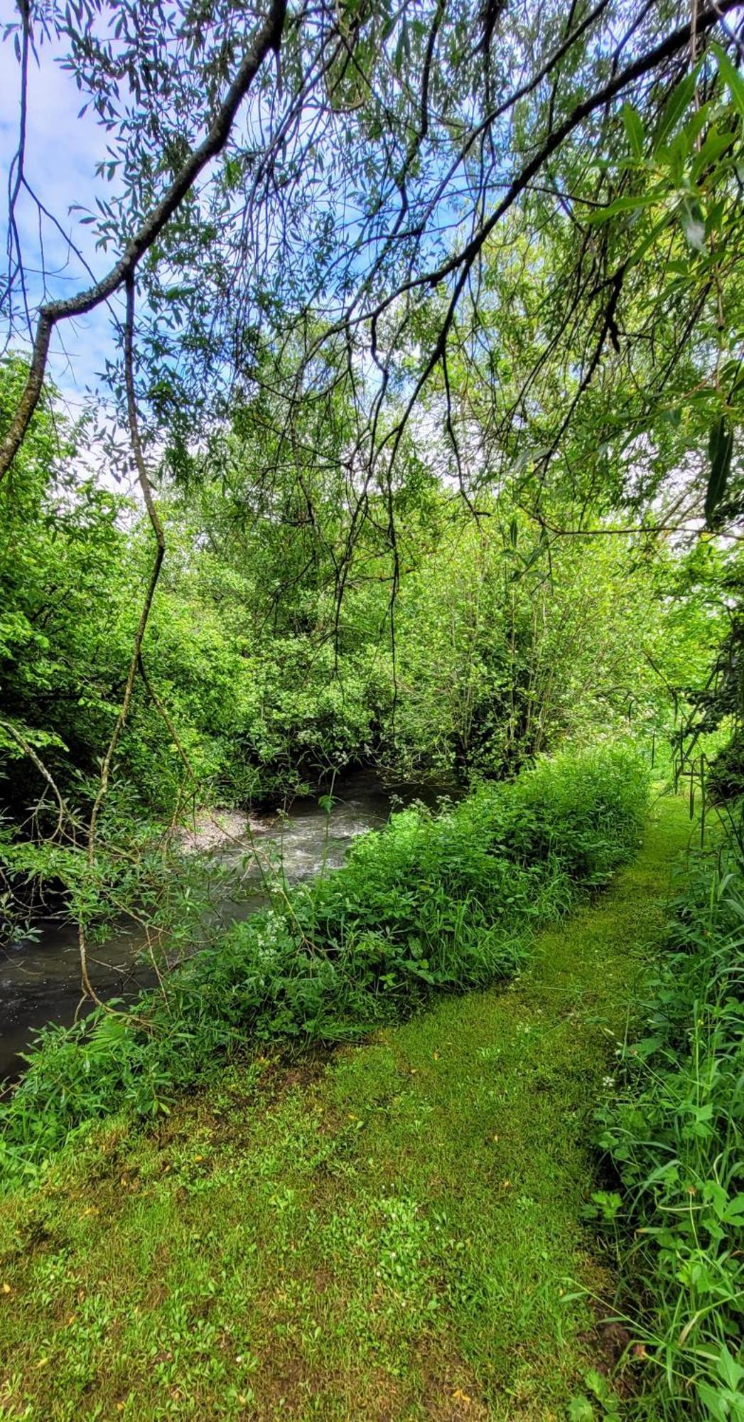 Kingsley Cottage - Beautiful Riverside Setting Beaworthy Bagian luar foto