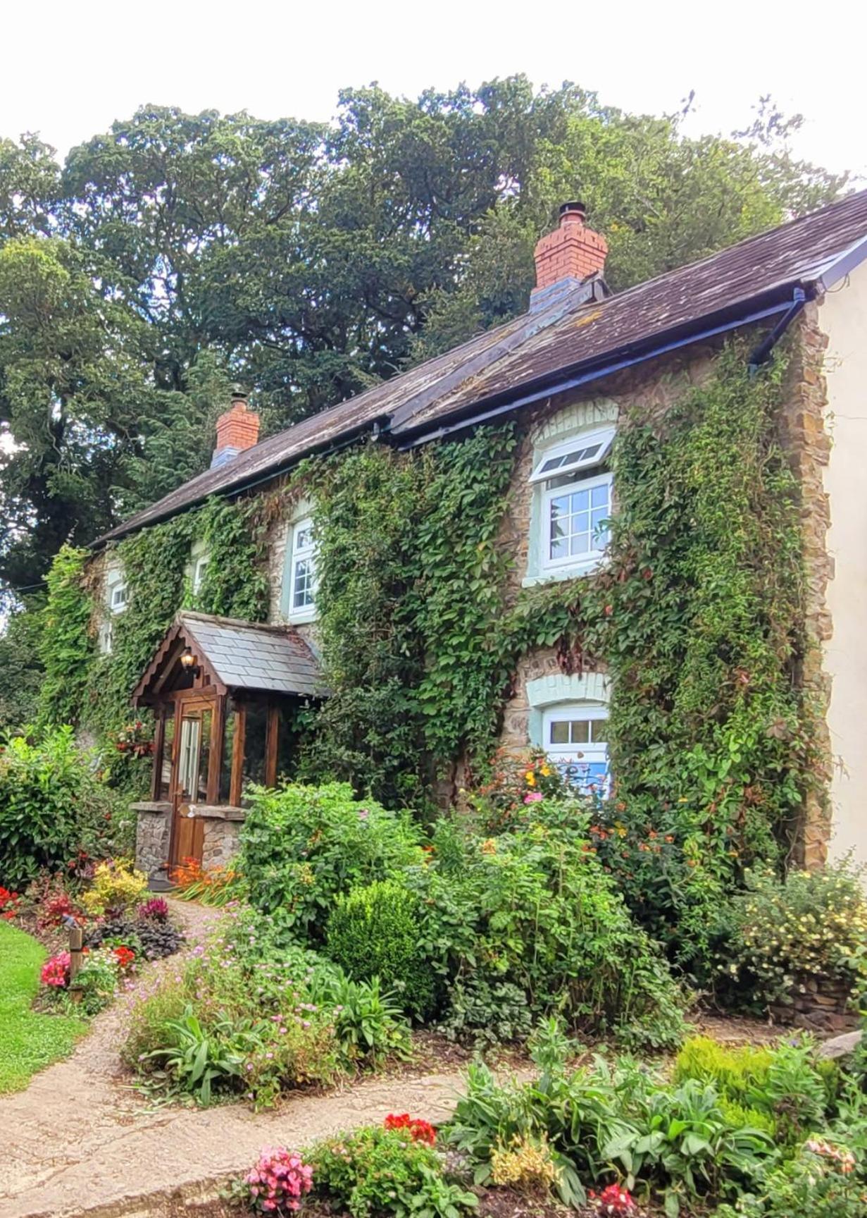 Kingsley Cottage - Beautiful Riverside Setting Beaworthy Bagian luar foto